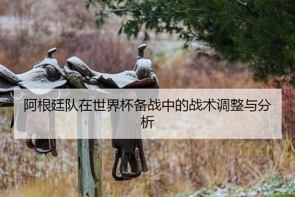 阿根廷队在世界杯备战中的战术调整与分析