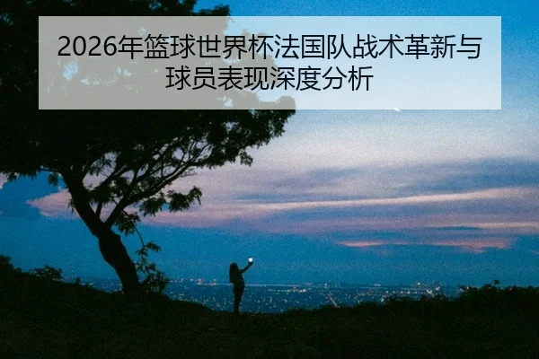 nian-lan-qiu-shi-jie-bei-fa-guo-dui-zhan-shu-ge-xin-yu-qiu-yuan-biao-xian-shen-du-fen-xi-2-168.jpg