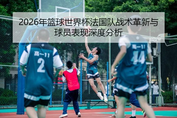 2026年篮球世界杯法国队战术革新与球员表现深度分析