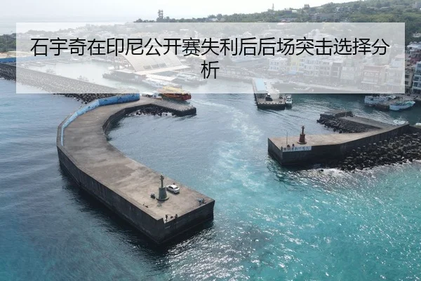 石宇奇在印尼公开赛失利后后场突击选择分析