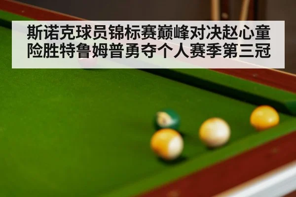 snooker final match